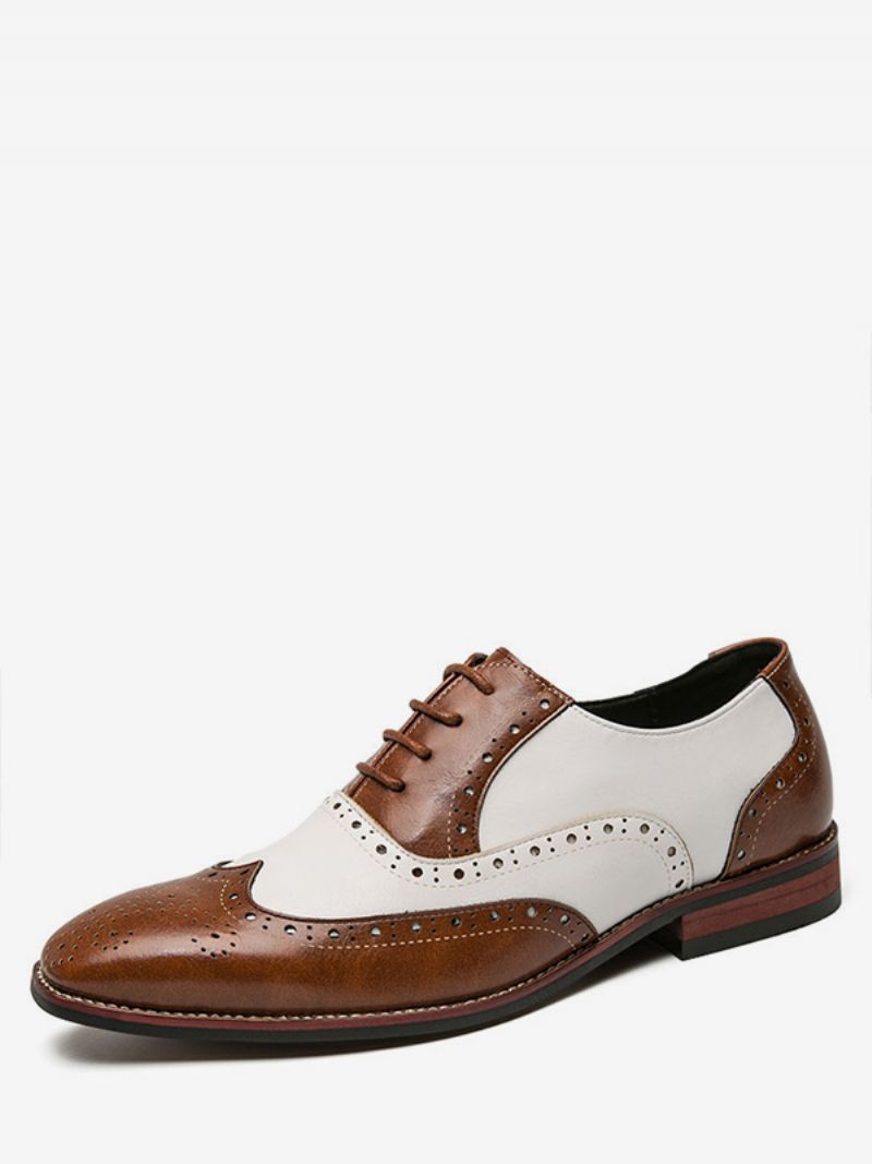 Oxfords Skor För Män Modern Rund Tårem Justerbar Pu-läder Vingspetsar Brogues - Kaffe Brun